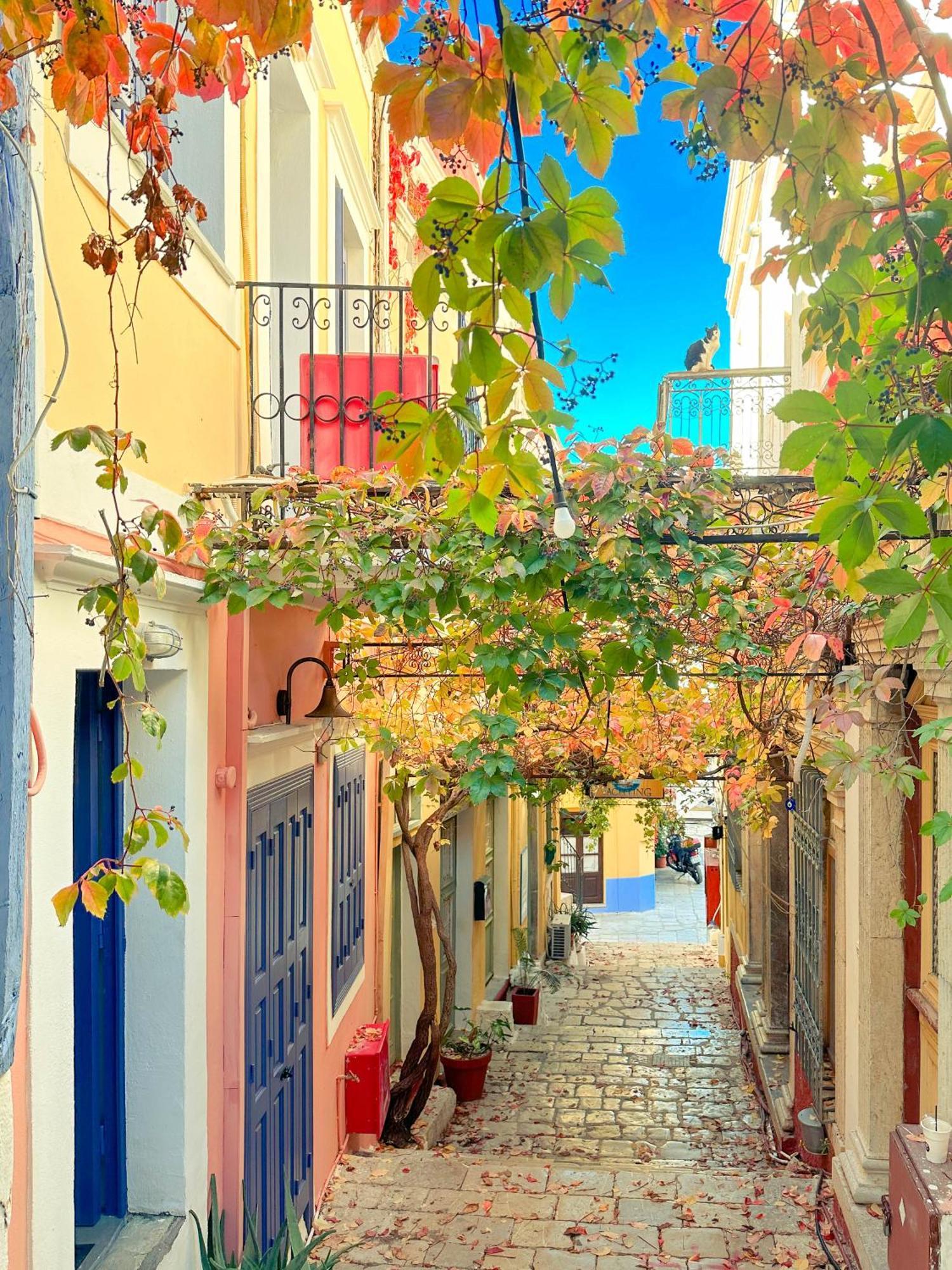 Apartmán Kali Strata 2 - Downtown Symi Exteriér fotografie